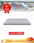 แผ่นท๊อป DT120